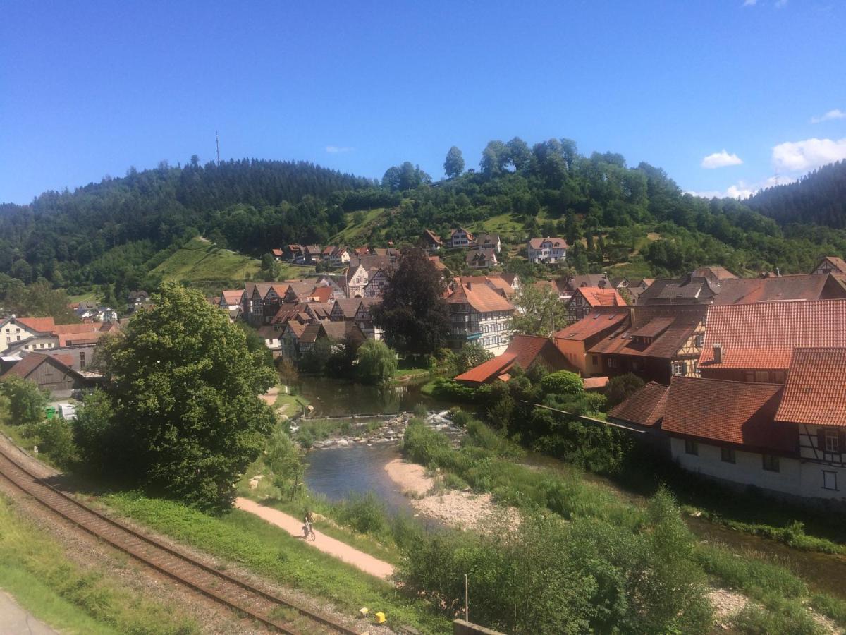 Urlaub Mit Blick Auf Schiltachs Fachwerkhaeuser Екстер'єр фото
